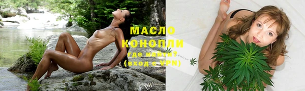 ПСИЛОЦИБИНОВЫЕ ГРИБЫ Михайлов