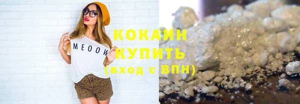 ПСИЛОЦИБИНОВЫЕ ГРИБЫ Михайлов