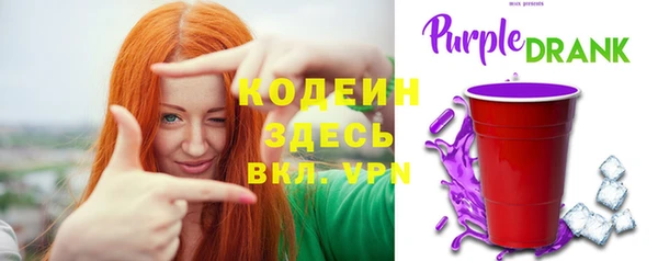 ПСИЛОЦИБИНОВЫЕ ГРИБЫ Михайлов