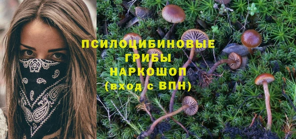 скорость Михайловск