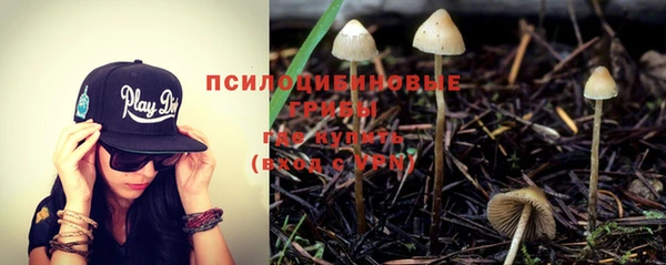 стаф Михайловка