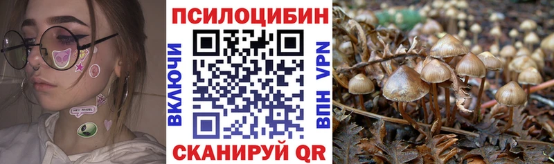 Купить где  Нязепетровск  Псилоцибиновые грибы Psilocybe 